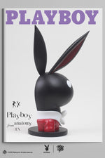 ZCWO x Playboy #1 Playboy Anatomy