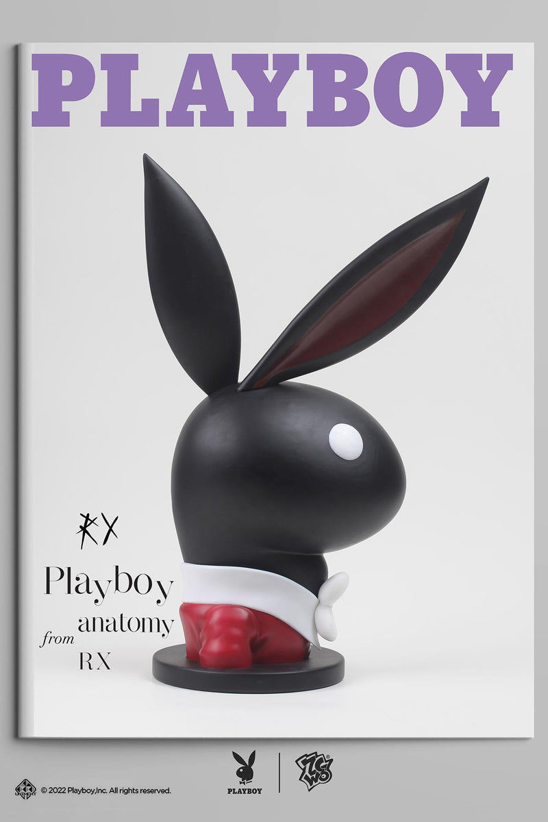 ZCWO x Playboy #1 Playboy Anatomy